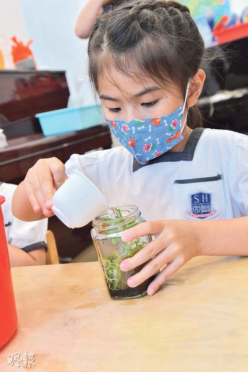 教學有辦法：幼園推「可持續」課程 製生態瓶學環保 做個世界小公民