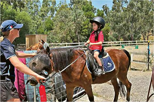 澳洲生活夢想飛：墨爾本騎馬通山跑
