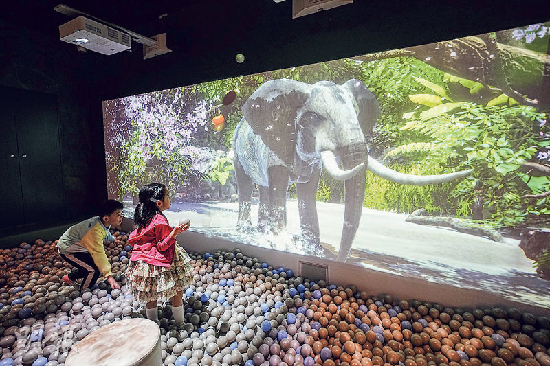 好去處：室內尋寶遊樂場探險  「菇島」捉精靈  互動學生態