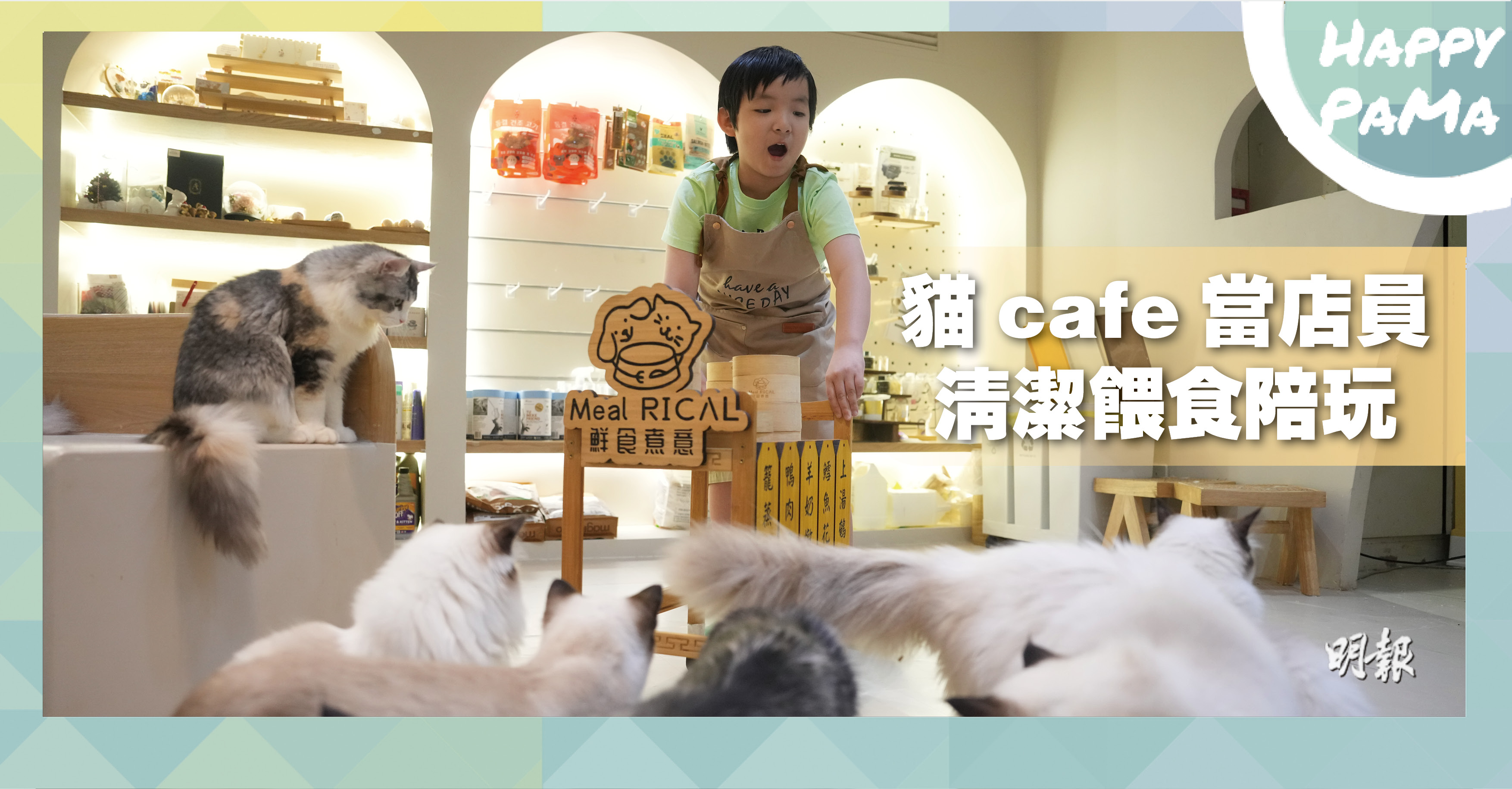 好去處：體驗照顧貓咪  學習待人接物  貓cafe當店員  清潔餵食陪玩