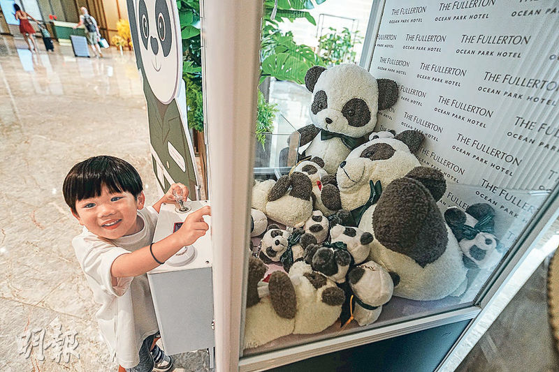 好去處：酒店約會大明星  置身「竹林」 與熊貓食住玩