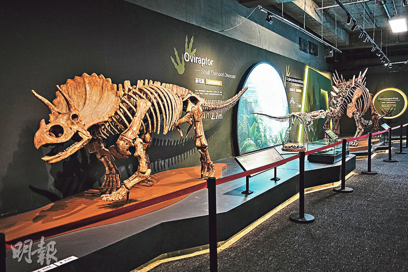 好去處：零距離觸摸恐龍骨  深入巢穴探險  化身古生物學家  探索恐龍奧秘