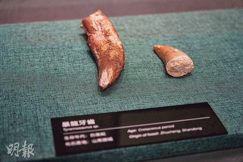 好去處：零距離觸摸恐龍骨  深入巢穴探險  化身古生物學家  探索恐龍奧秘